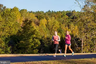 11 Edwin Court, Fredericksburg, VA 22405 - Photo 51
