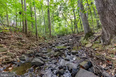 7 Lee Court, Stafford, VA 22554 - Photo 69