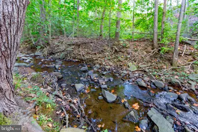 7 Lee Court, Stafford, VA 22554 - Photo 67