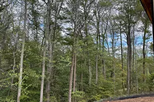 2507 Running Brk Ct, Stafford, VA 22554 - Photo 7