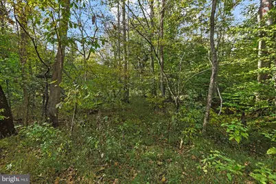 0 Holly Corner Road, Falmouth, VA 22406 - Photo 9