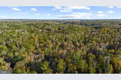 0 Holly Corner Road, Falmouth, VA 22406 - Photo 13