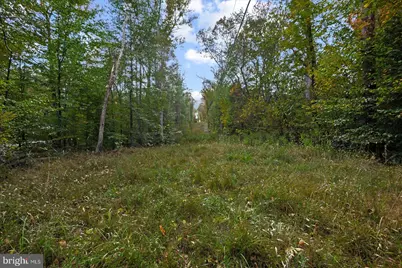 0 Holly Corner Road, Falmouth, VA 22406 - Photo 5