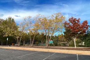 270 Long Point Dr, Fredericksburg, VA 22406 - Photo 45