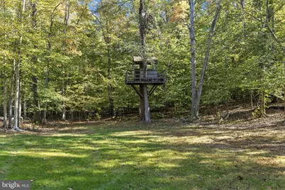 135 Old Cropps Mill Road, Fredericksburg, VA 22406 - Photo 39