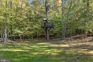 135 Old Cropps Mill Rd, Fredericksburg, VA 22406 - Photo 39