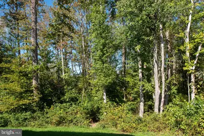 153 Hollycrest Place, Stafford, VA 22554 - Photo 43