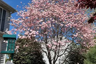 64 Walnut Farms Pkwy, Fredericksburg, VA 22405 - Photo 43