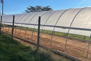 1573 Garrisonville Rd, Stafford, VA 22556 - Photo 59