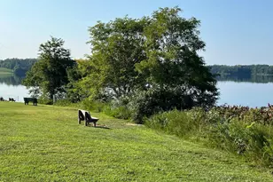 5 Montauk Ave, Fredericksburg, VA 22406 - Photo 57