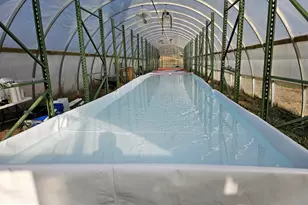 1573 Garrisonville Rd, Stafford, VA 22556 - Photo 63