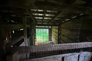 1573 Garrisonville Rd, Stafford, VA 22556 - Photo 53