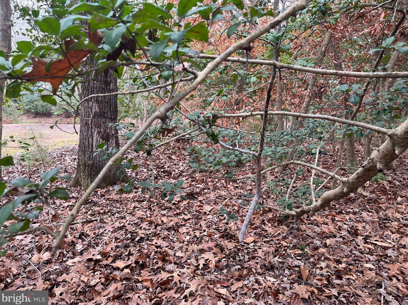 32 Placid Rd, Colonial Bch VA  22443-3202 exterior