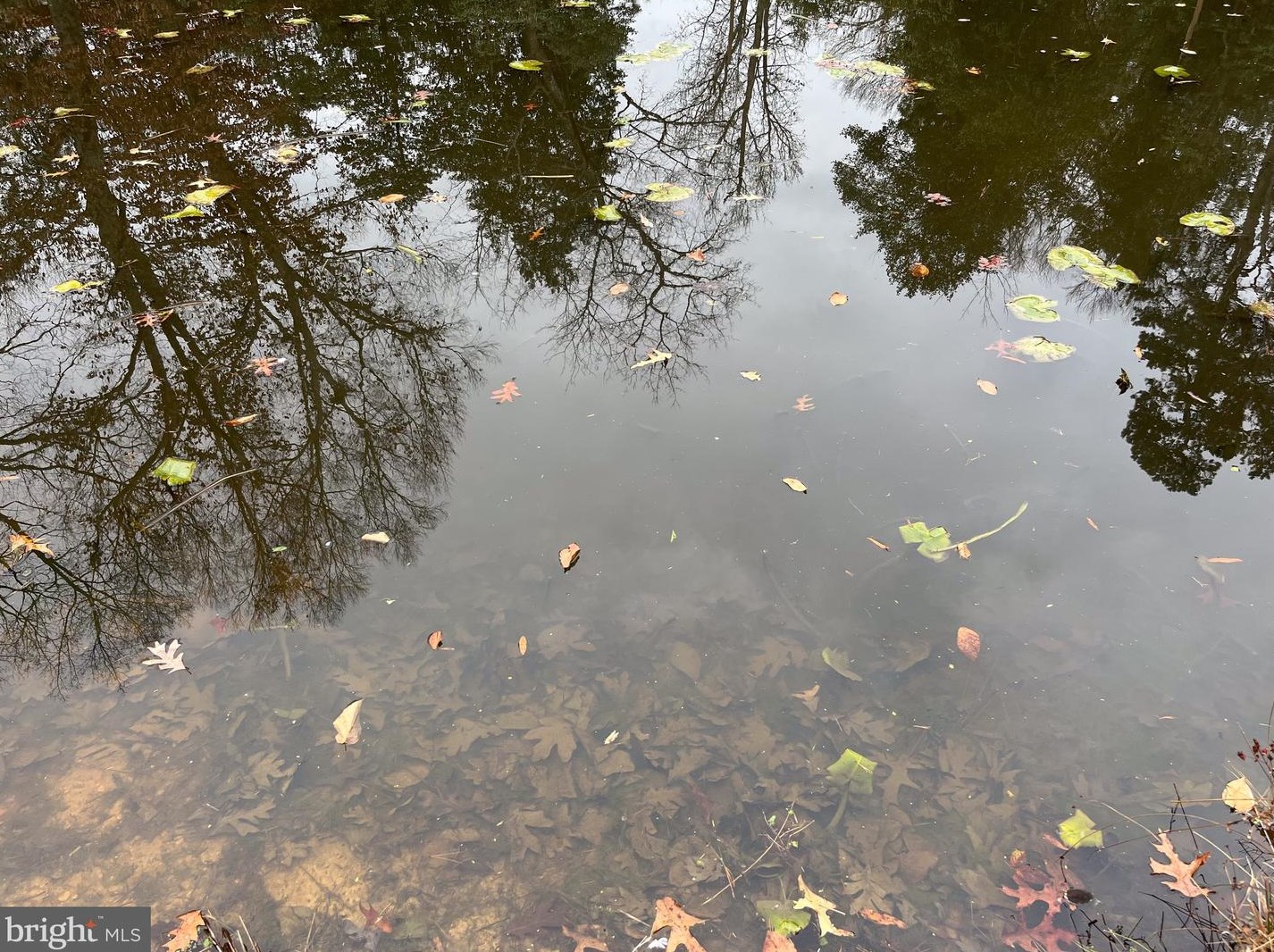 32 Placid Rd, Colonial Bch VA  22443-3202 exterior