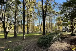 317 Coles Point Rd, Hague, VA 22469 - Photo 107