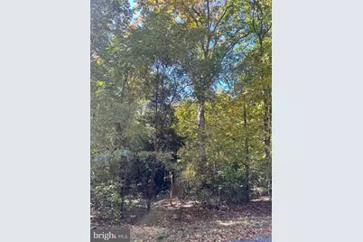 Lot 110 Bishop Drive, Montross, VA 22520 - Photo 9