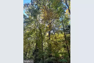 Lot 110 Bishop Drive, Montross, VA 22520 - Photo 3