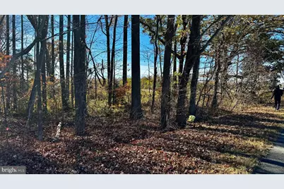 Zacata Rd, Montross, VA 22520 - Photo 1