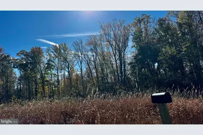 Zacata Rd, Montross, VA 22520 - Photo 5