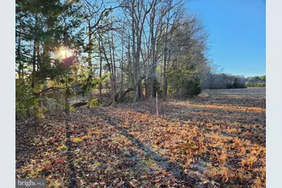 Lot 1 Marilou Lane, Colonial Beach, VA 22443 - Photo 17