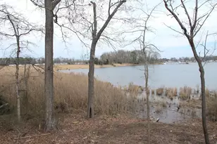 1252 Shore Dr, Colonial Beach, VA 22443 - Photo 13