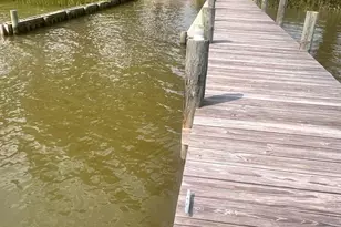 245 Nomini Bay Dr, Montross, VA 22520 - Photo 57