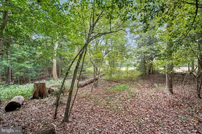 88 Carter, Montross, VA 22520 - Photo 39