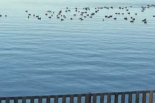 222 Shore Dr, Colonial Beach, VA 22443 - Photo 21