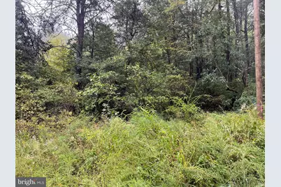 Lot 20 Chrystal Rd., Colonial Beach, VA 22443 - Photo 1