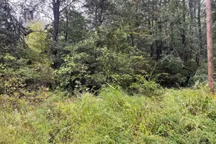 Lot 20 Chrystal Rd, Colonial Beach, VA 22443 - Photo 1
