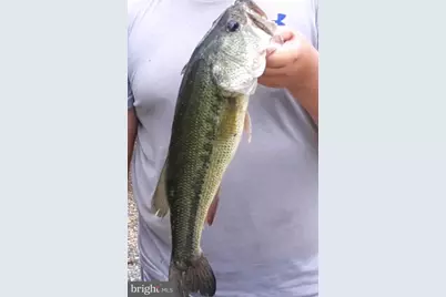 316 Plantation Drive, Montross, VA 22520 - Photo 83