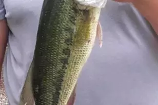 316 Plantation Dr, Montross, VA 22520 - Photo 83