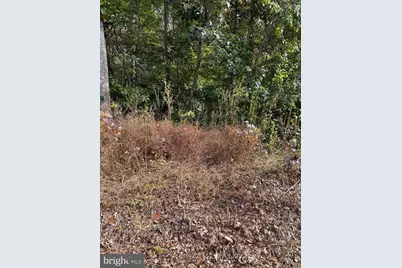 Lot 41 Travellers Circle, Montross, VA 22520 - Photo 3