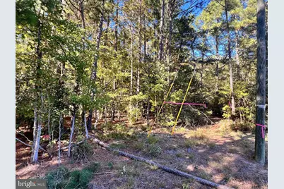 N Glebe, Montross, VA 22520 - Photo 1