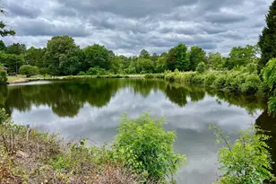 228 Dale Dr, Colonial Beach, VA 22443 - Photo 57