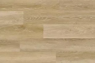 Tbd Lot 256 Armed Forces, Montross, VA 22520 - Photo 61