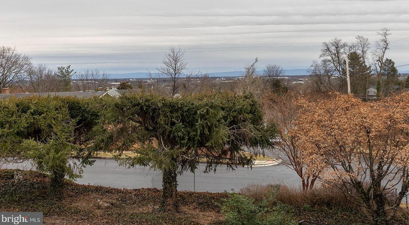 1413 Handley Ave, Winchester VA  22601-3746 exterior