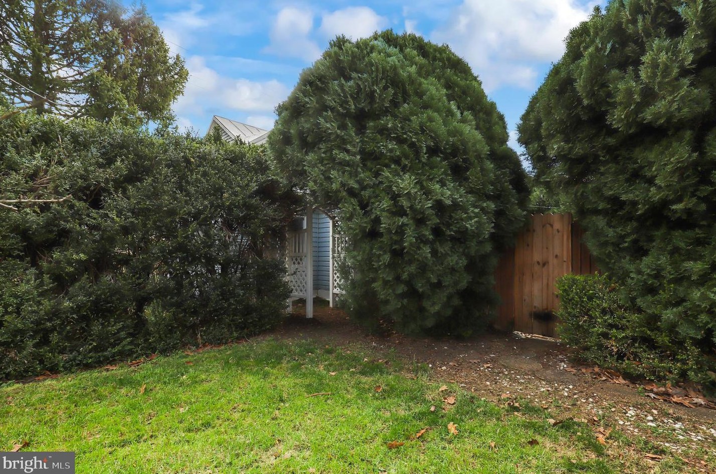 1531 Loudoun St, Winchester VA  22601-4421 exterior
