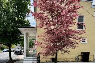 321 N Braddock St, Winchester, VA 22601 - Photo 1