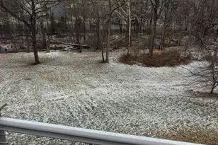 557 Bellview Ave, Winchester, VA 22601 - Photo 15