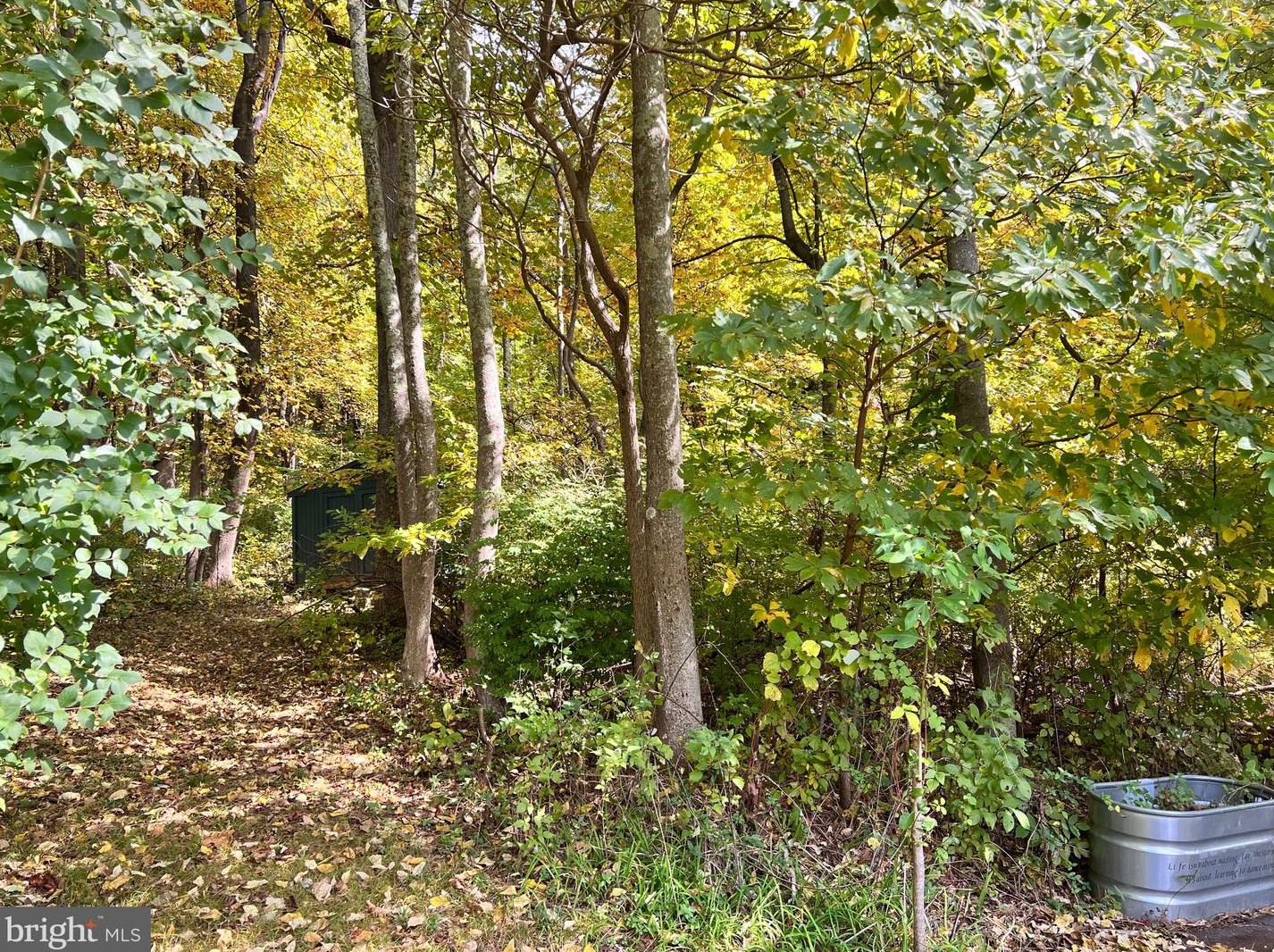 4103 Remount Rd, Front Royal VA  22630-5842 exterior