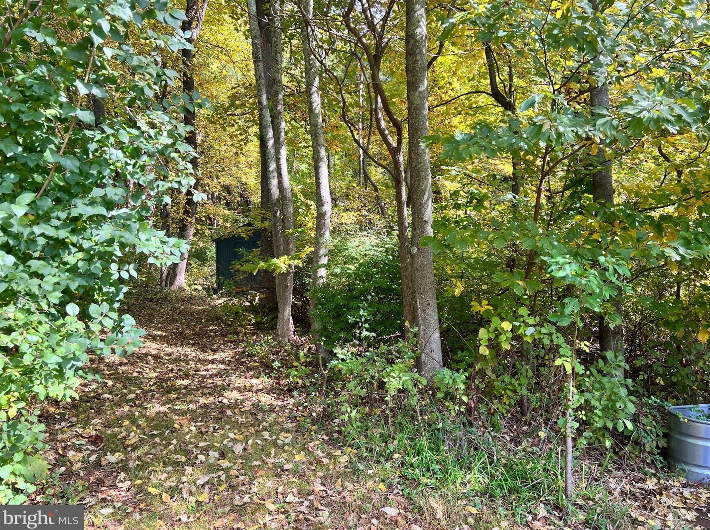 4103 Remount Rd, Front Royal VA  22630-5842 exterior