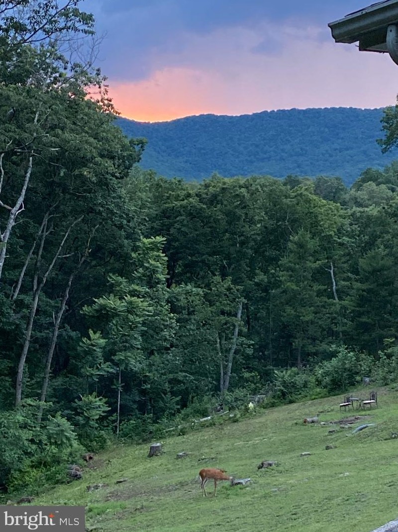 47 Willow Rd, Front Royal VA  22630-8984 exterior