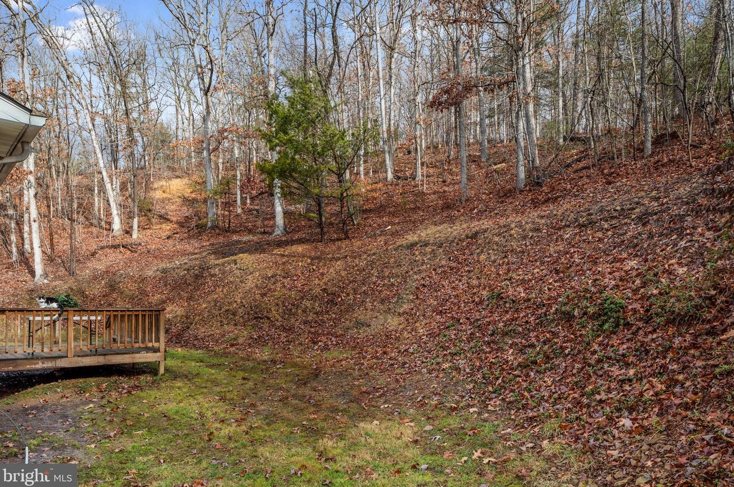 1039 Dismal Hollow Rd, Front Royal VA  22630-6322 exterior