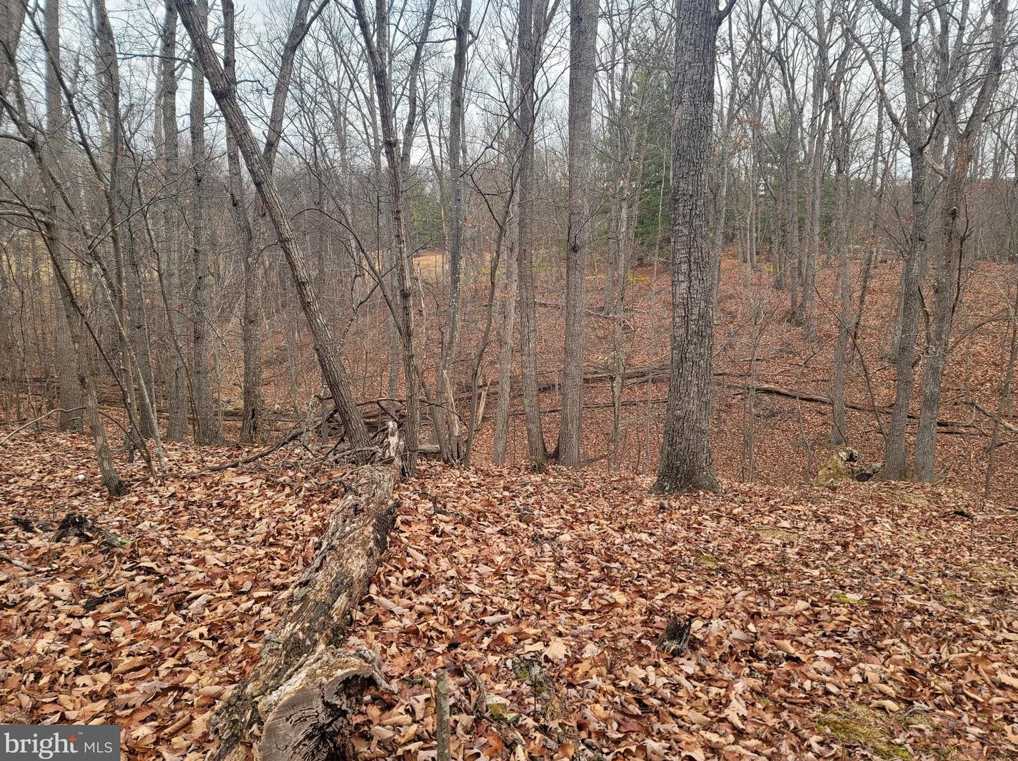 71 Downing Farm Rd, Front Royal VA  22630-5694 exterior