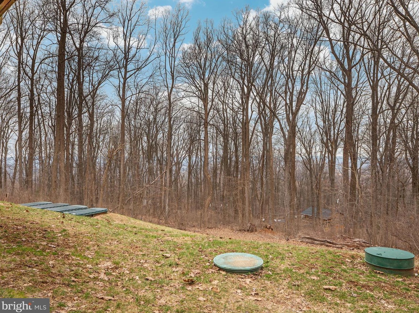 4079 Blue Mountain Rd, Front Royal VA  22630-3880 exterior