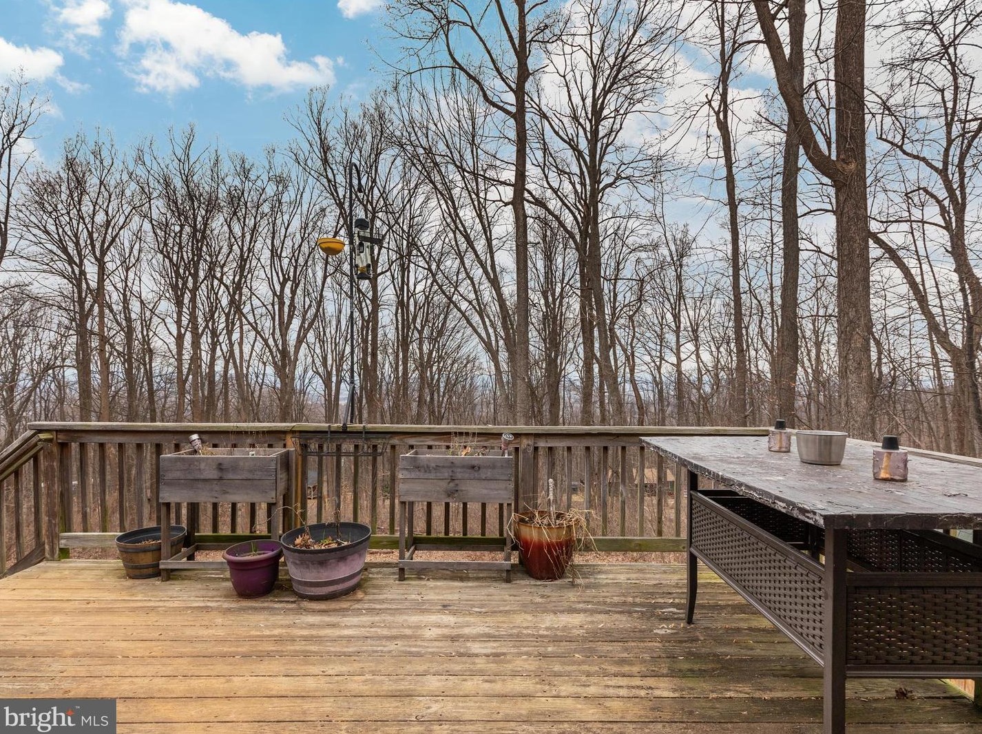 4079 Blue Mountain Rd, Front Royal VA  22630-3880 exterior