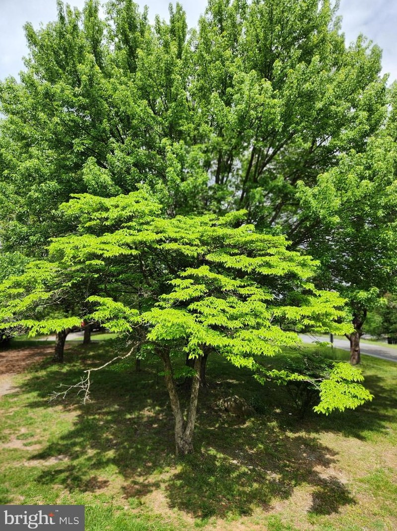 34 King David Dr, Linden VA  22642-6323 exterior