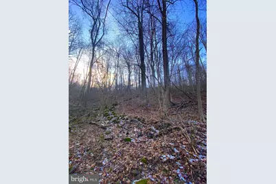 00 Hickory Tree Road, Front Royal, VA 22630 - Photo 21