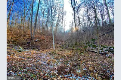 00 Hickory Tree Road, Front Royal, VA 22630 - Photo 17